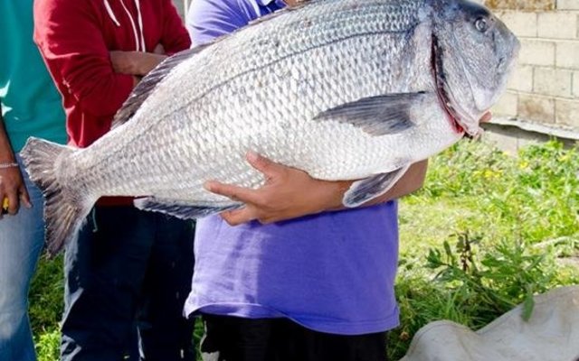 Gansbaai Damme se Mosselkraker Abdul Malick Omar_1